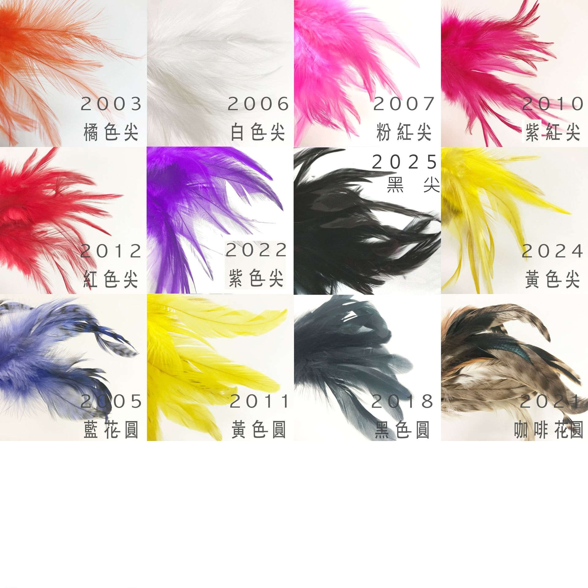 羽毛 #20 雞毛羽毛（尖／圓） DIY染色羽毛