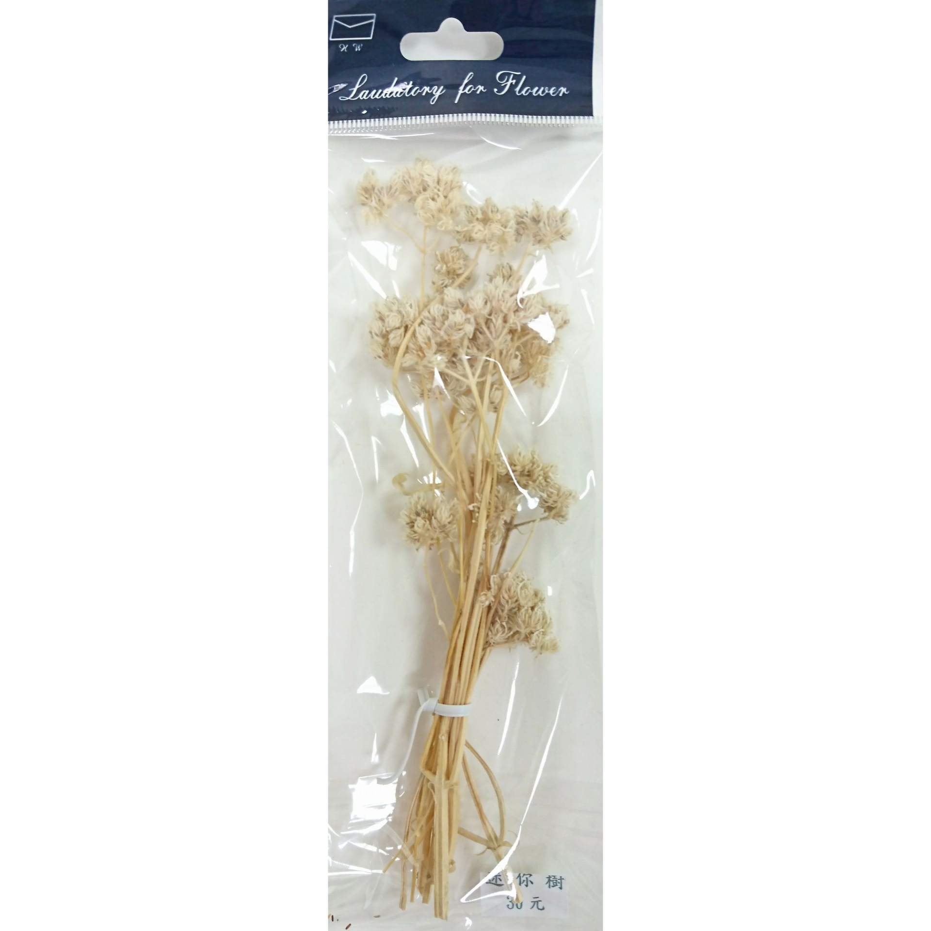 小包裝花束系列-迷你樹