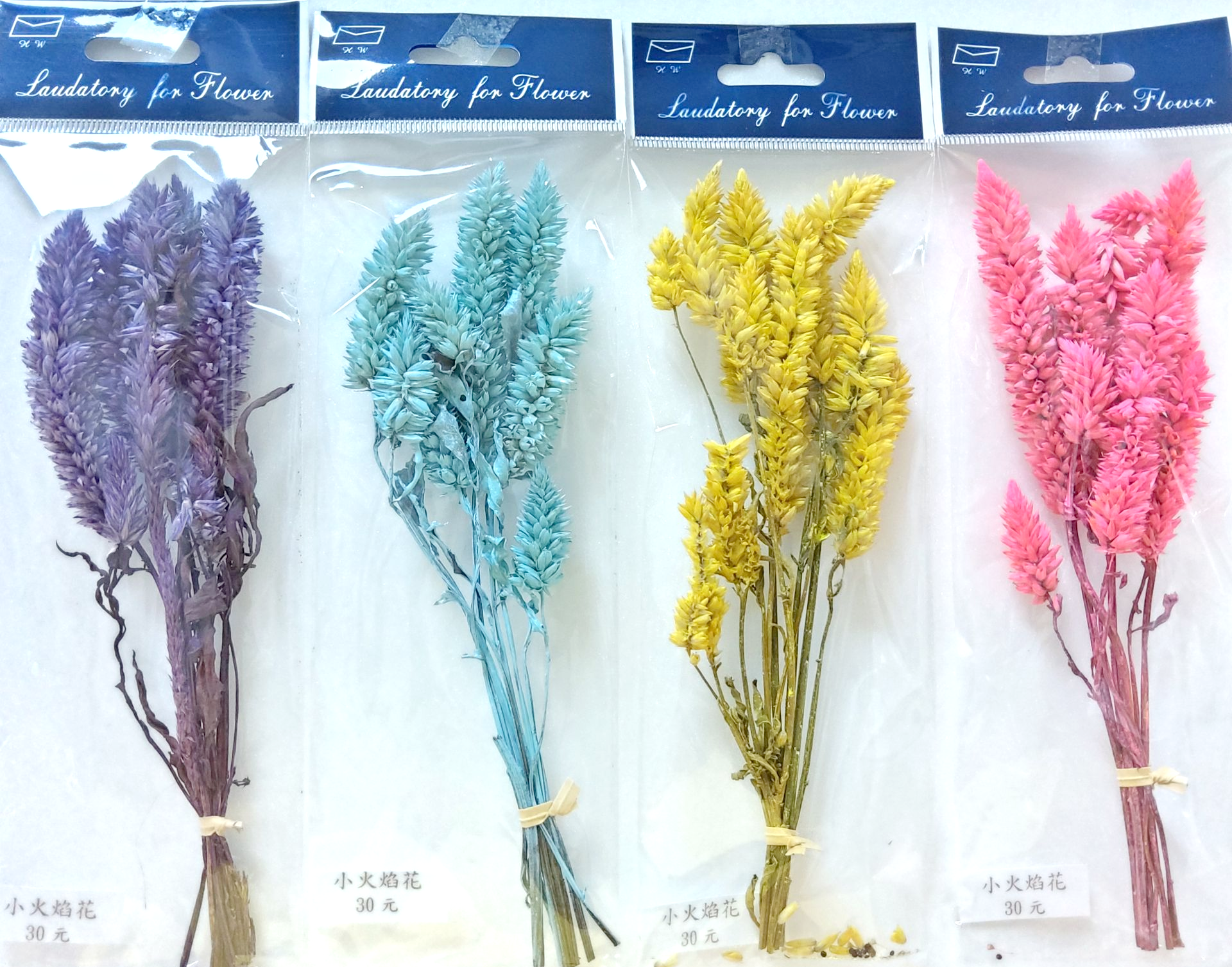 小包裝花束系列-小火焰花
