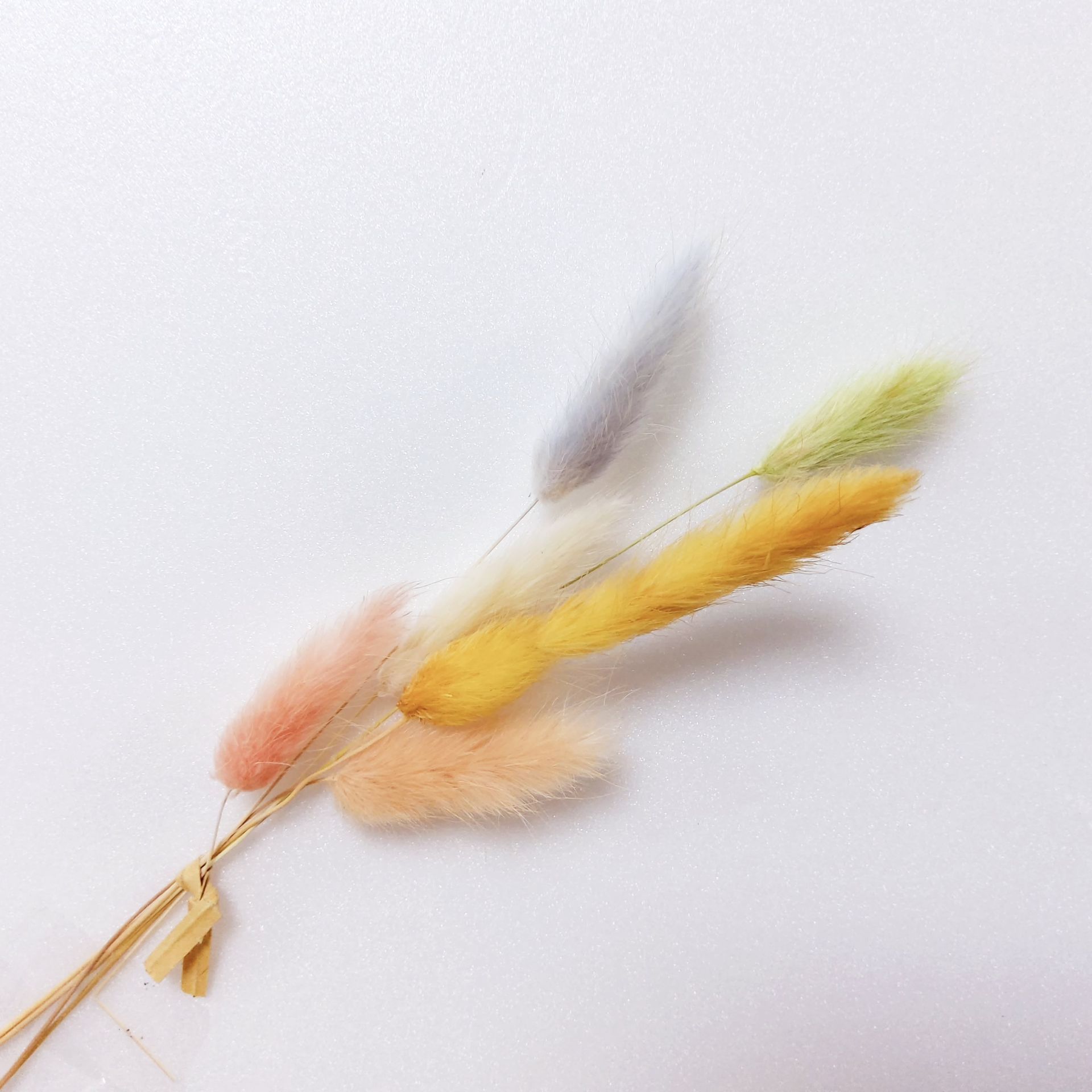 小包裝花束系列-兔尾草