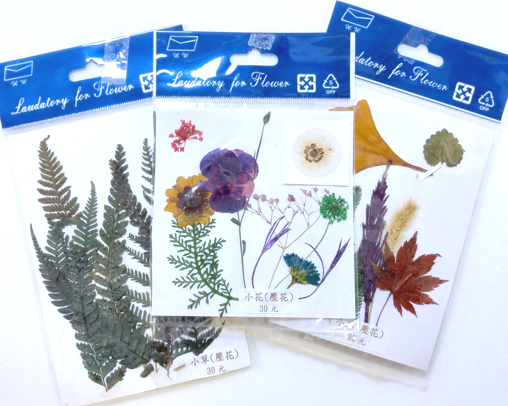 小包裝花束系列-壓花、小草、小蕨葉