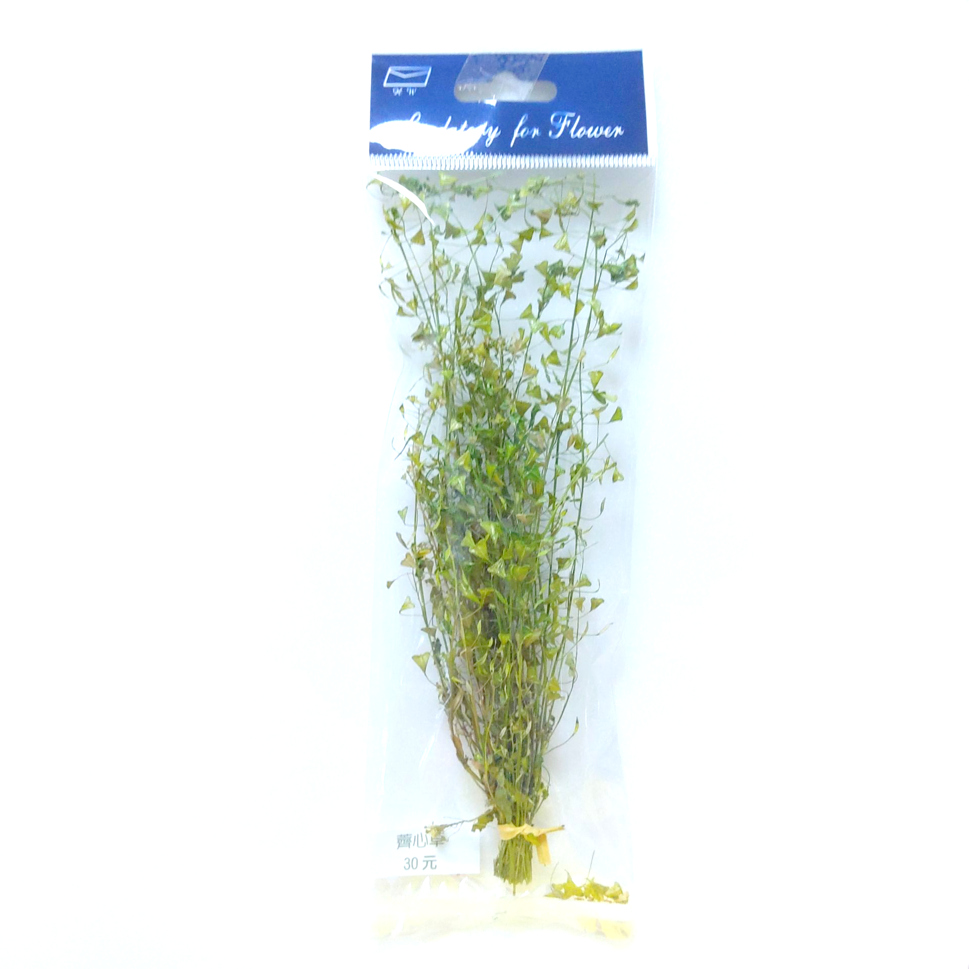 小包裝花束系列-薺心草