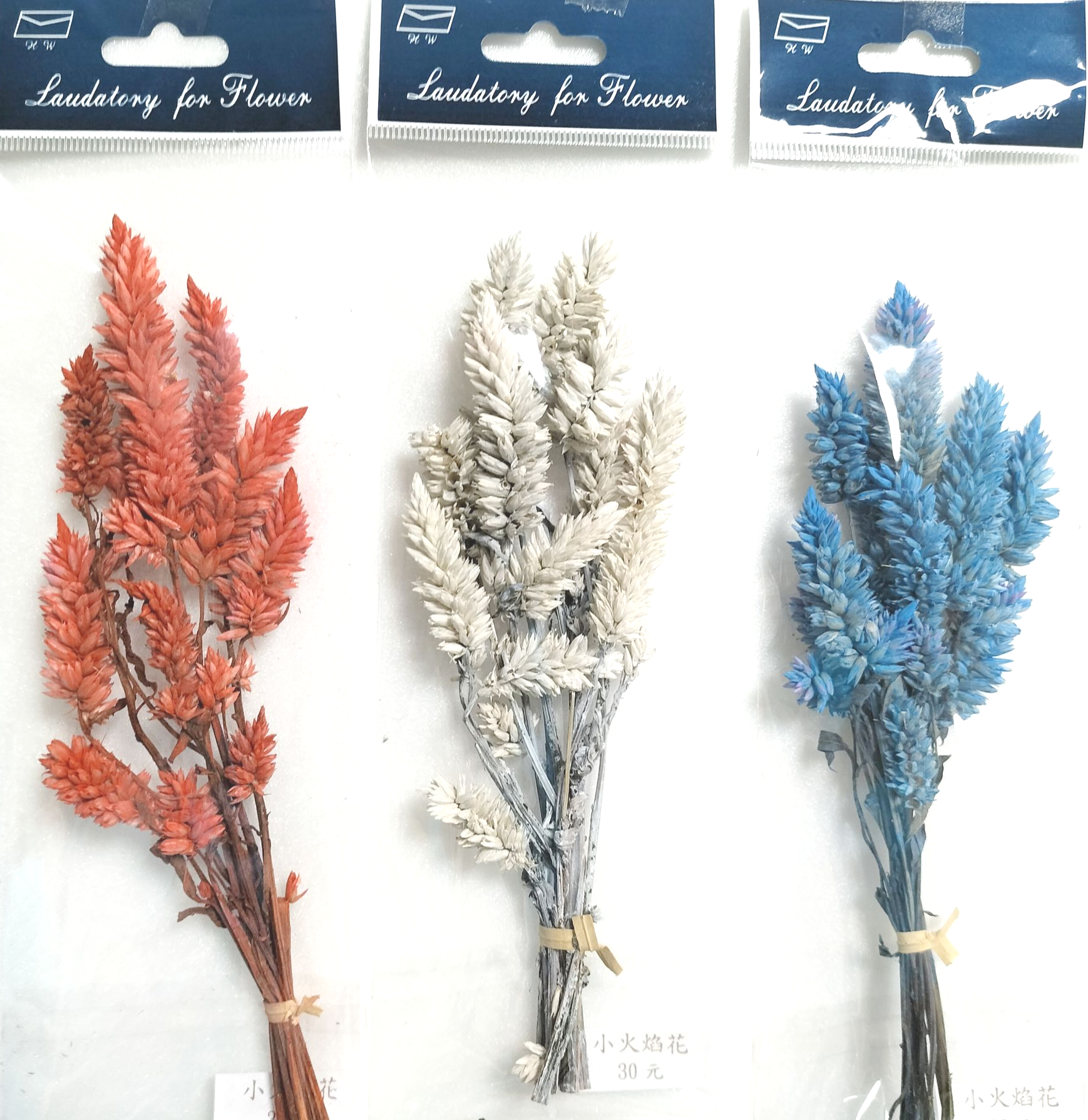小包裝花束系列-小火焰花