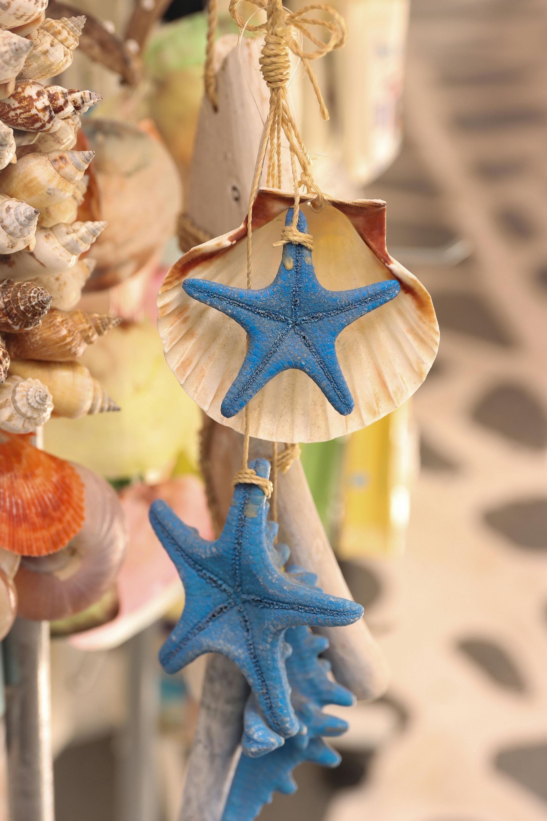 彩色海星10入 (盒裝)－(3～4cm)