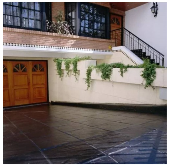 Patio de una casa con puertas de garaje de madera, pared blanca, escalera y enredaderas verdes colgantes.