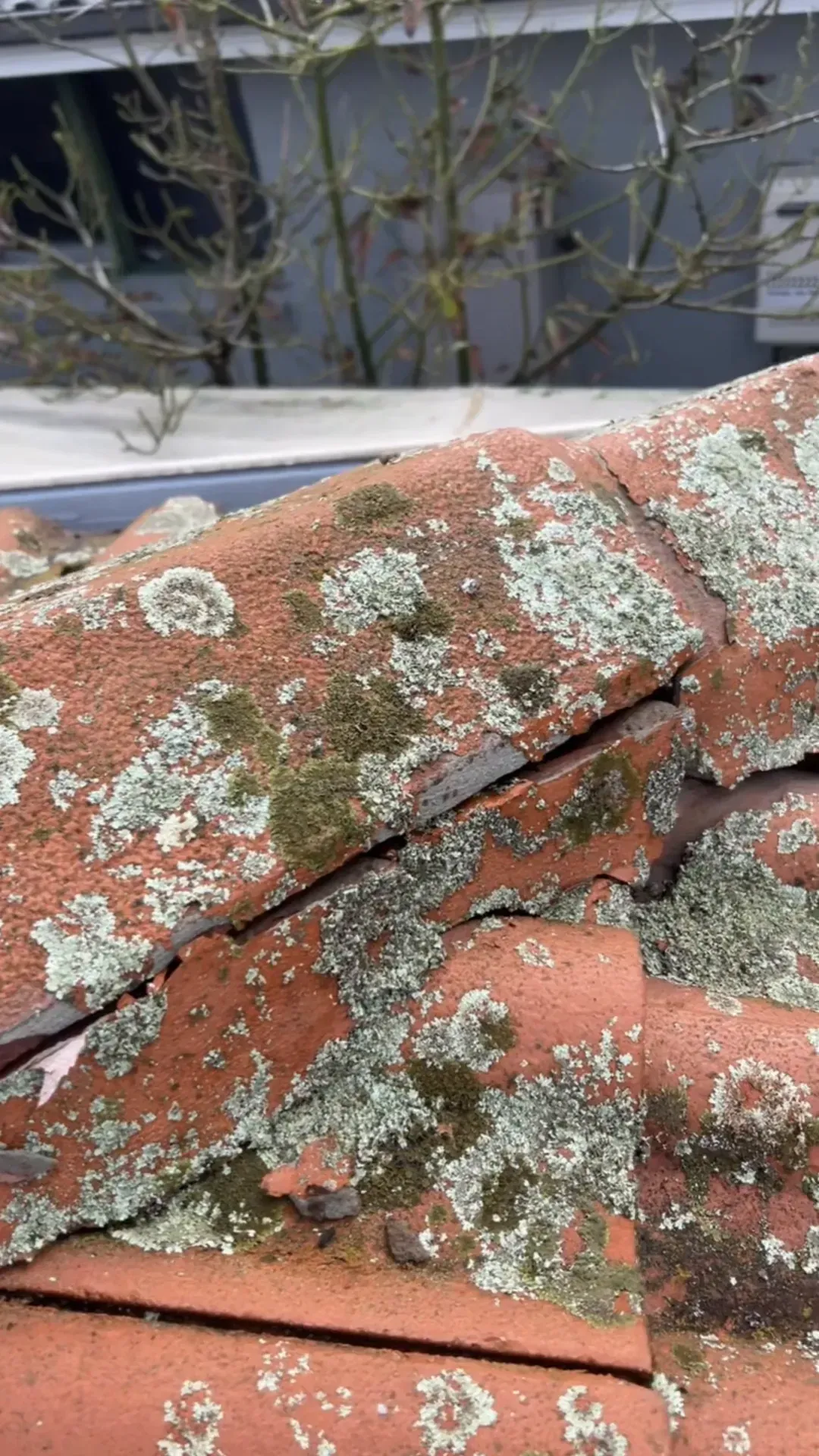 Cracked and missing ridge mortar on a lichen-covered terracotta roof