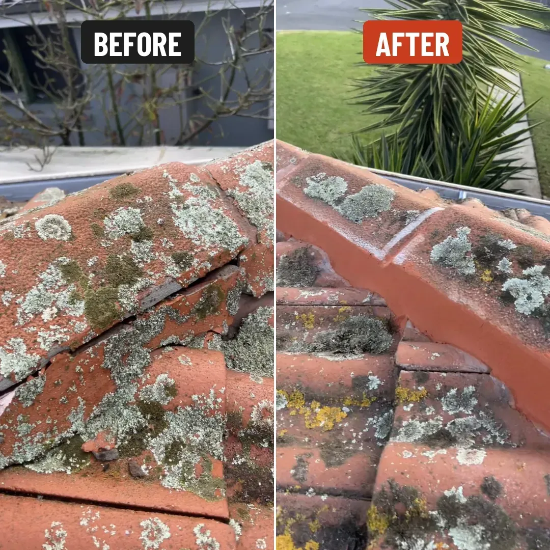 Ridge caps before and after re-pointing