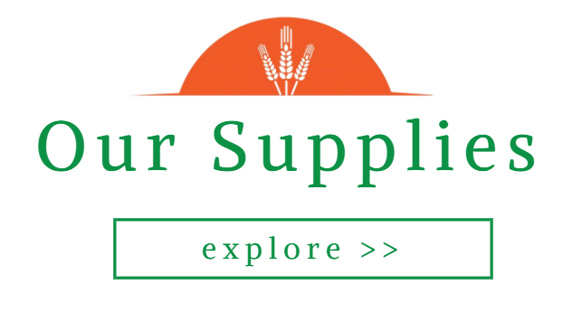 our supplies explore