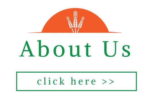 about us click here