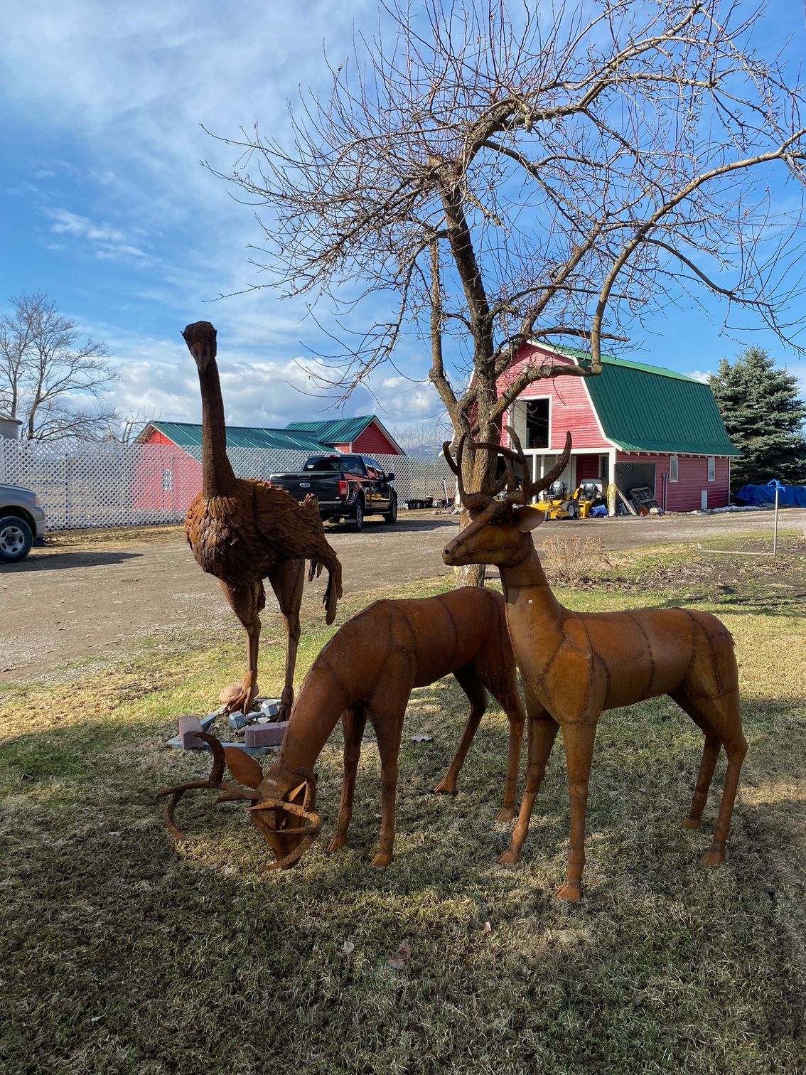 Portfolio Kalispell, MT Creston Topsoil