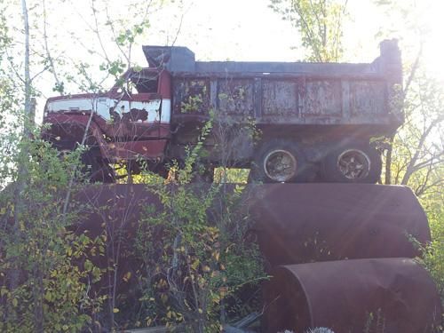 Rusty red dump truck overgrown with weeds in a field, viewed from the side.