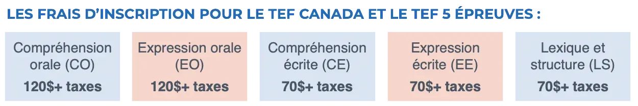 Profil linguistique français avec cinq catégories de tests et les scores en pourcentage dans des cases grises en haut.