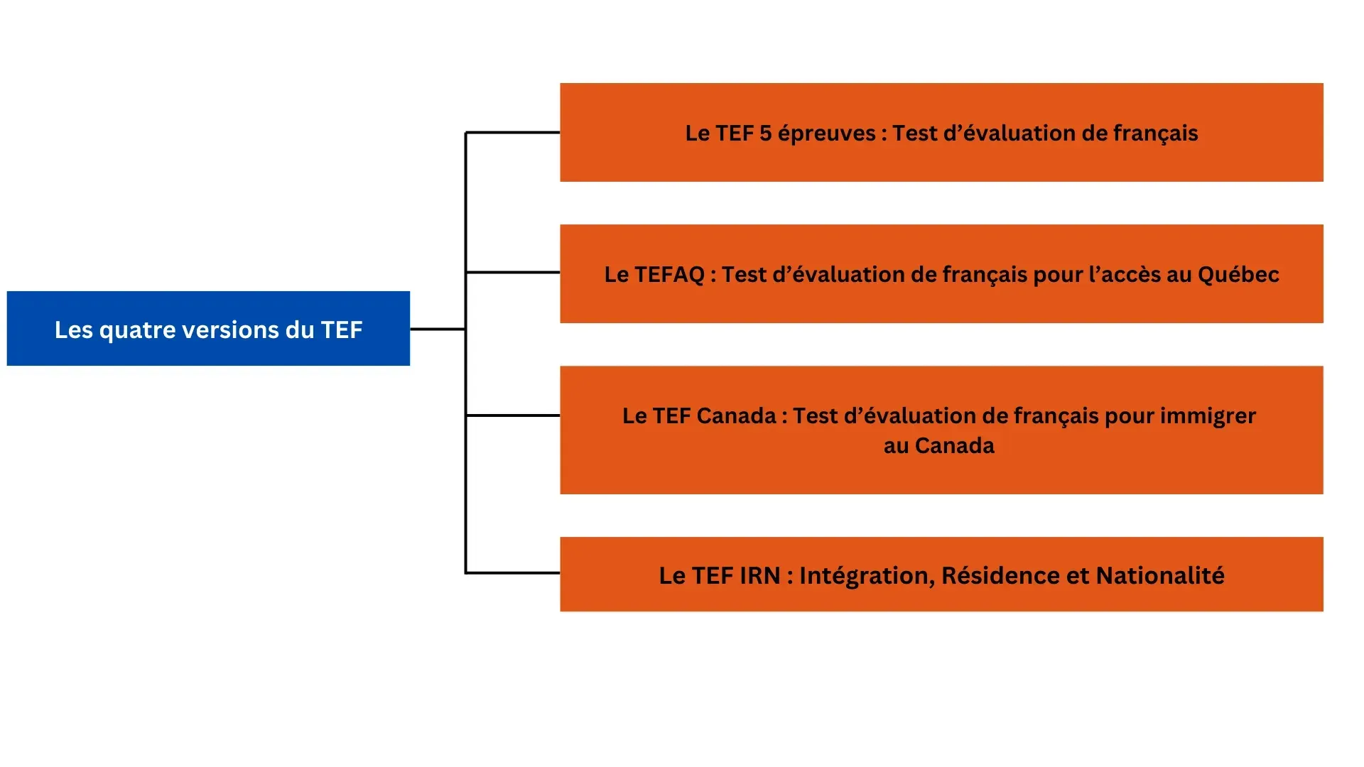 Organigramme de traduction du jargon juridique français-anglais avec encadré source bleu et encadrés de traduction orange