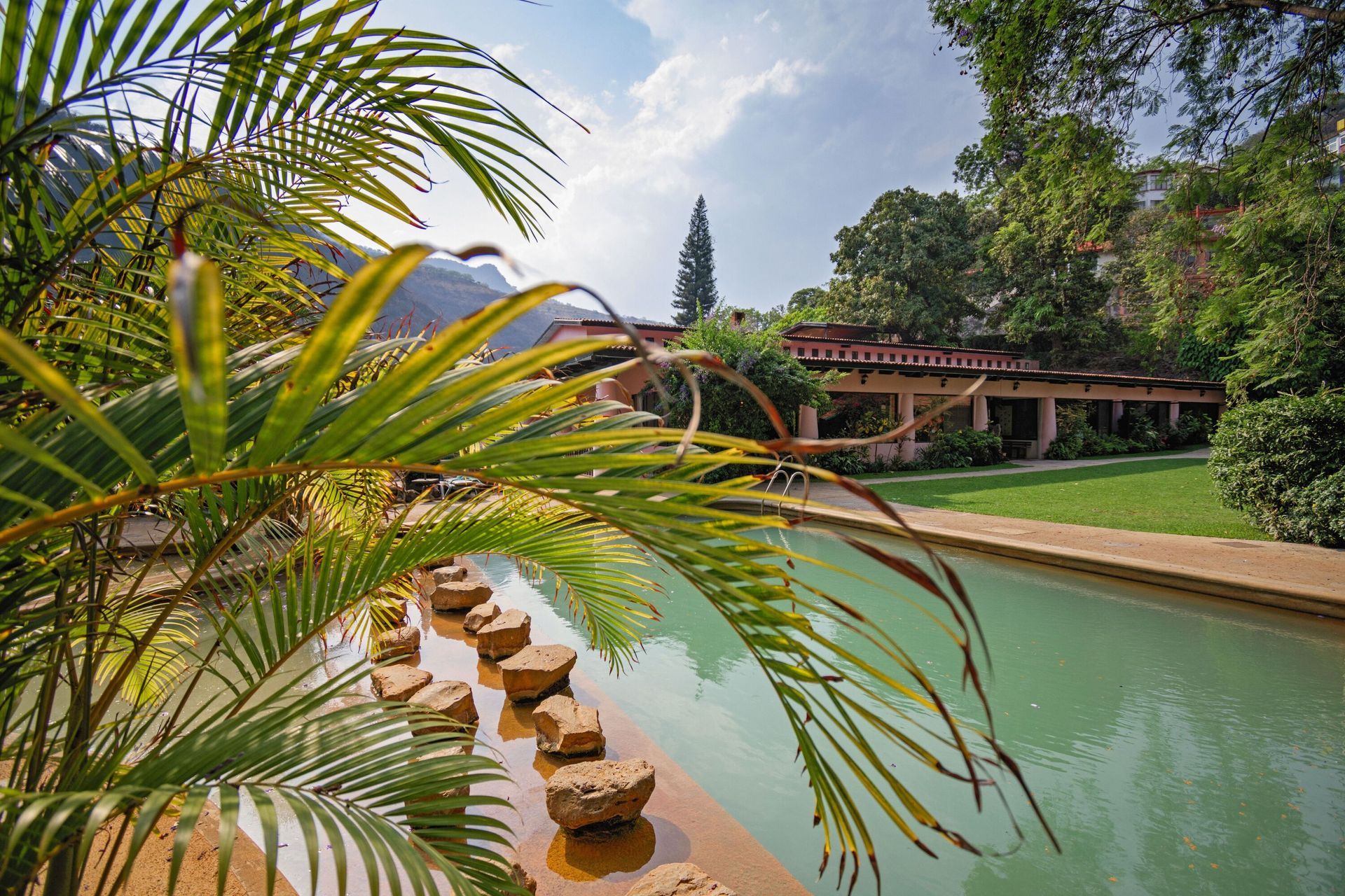 Una piscina con una palmera en primer plano y un edificio al fondo.