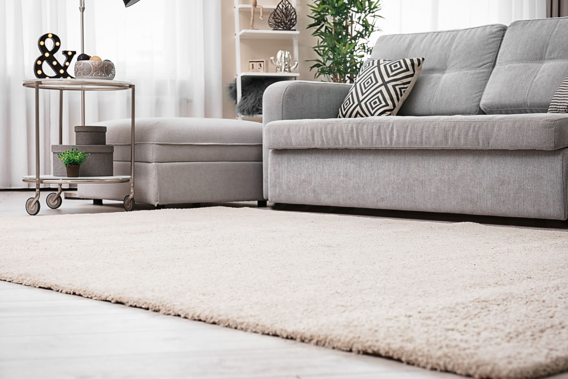 A living room with a couch and a rug on the floor.