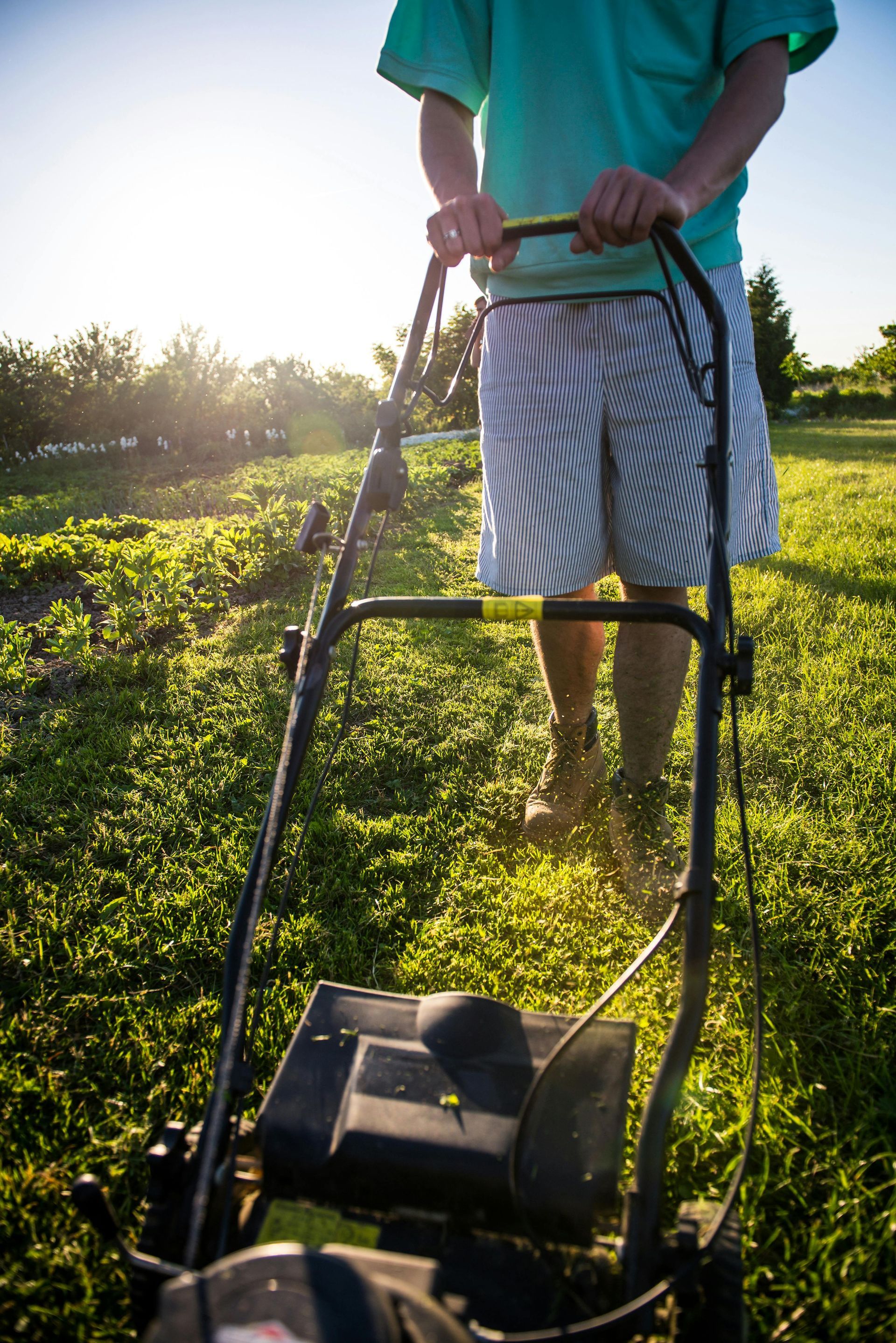 Person pushing a lawn mower through a sunny grassy field, wearing a teal shirt and striped shorts.