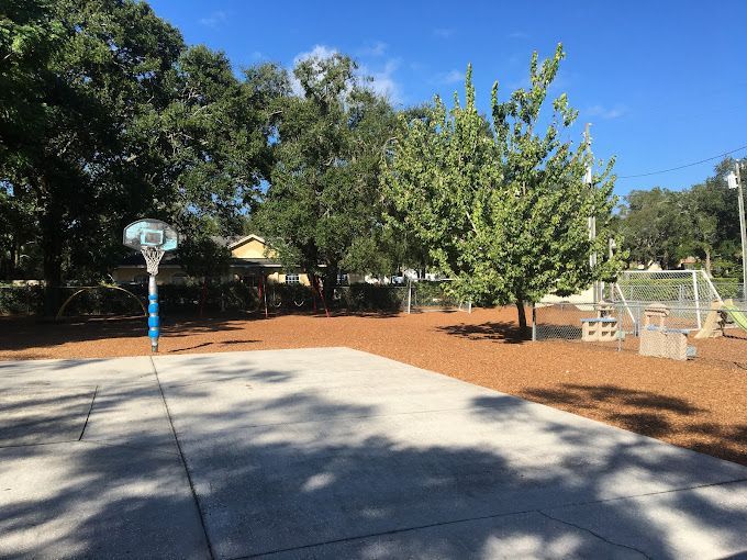A basketball hoop is in the middle of a park surrounded by trees.