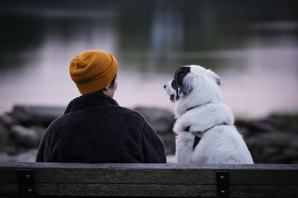 Person in mustard beanie sits beside a black-and-white dog on a bench by the water