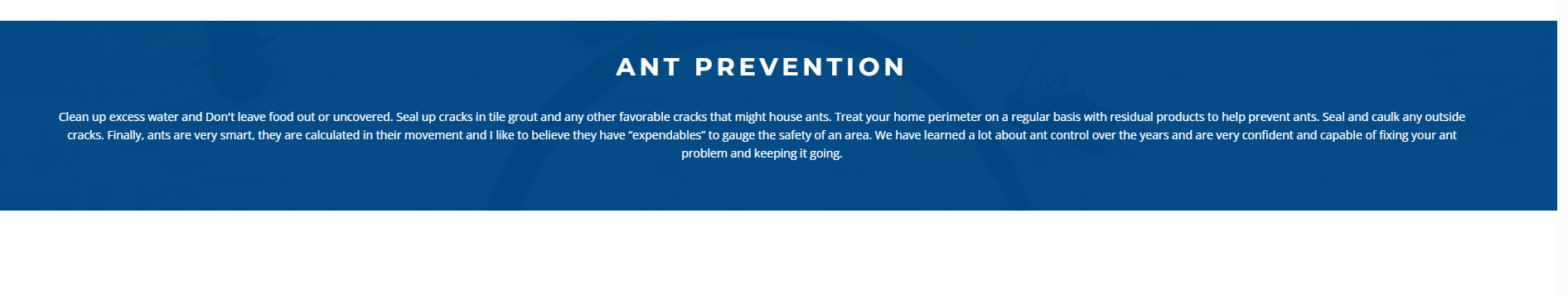 ant prevention