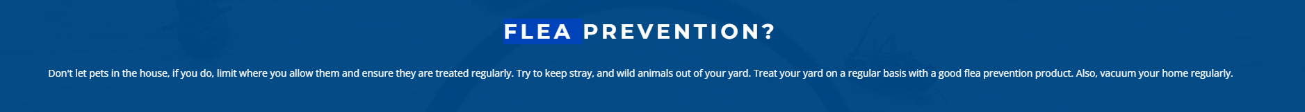 flea prevention