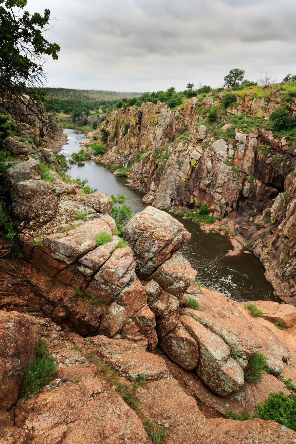 A river flows through a deep, rugged canyon with layered brown rock formations and sparse green vegetation under a cloudy sky.