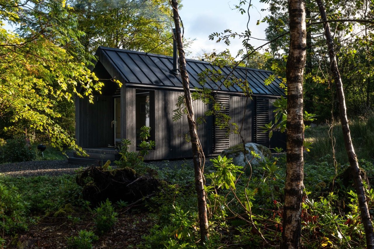 Back Cabin in morning light in woodland.