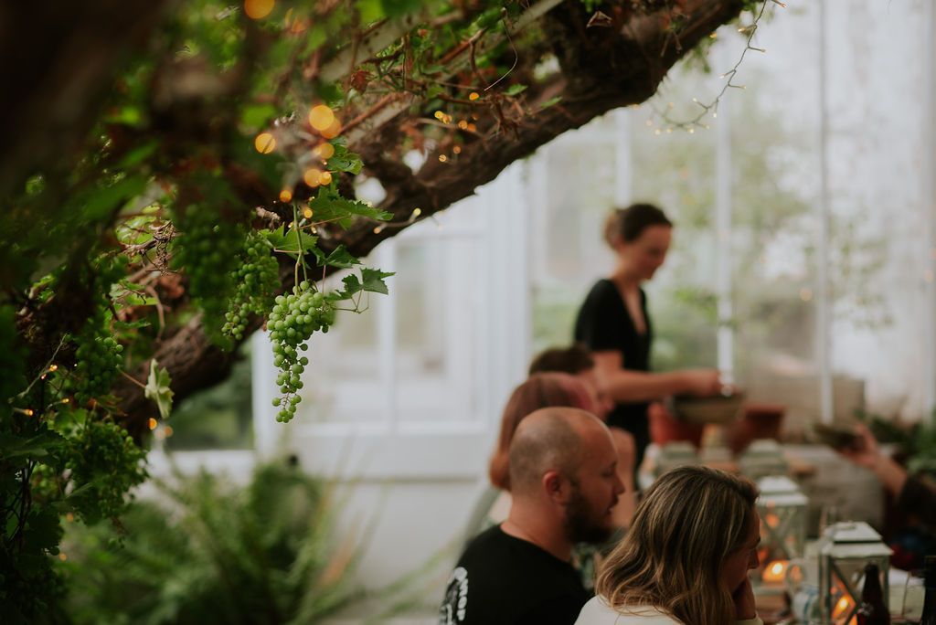 dining in a greenhouse