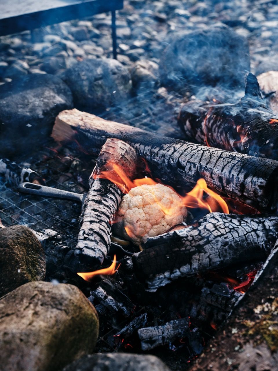 Cauliflower being cooked in the wild.