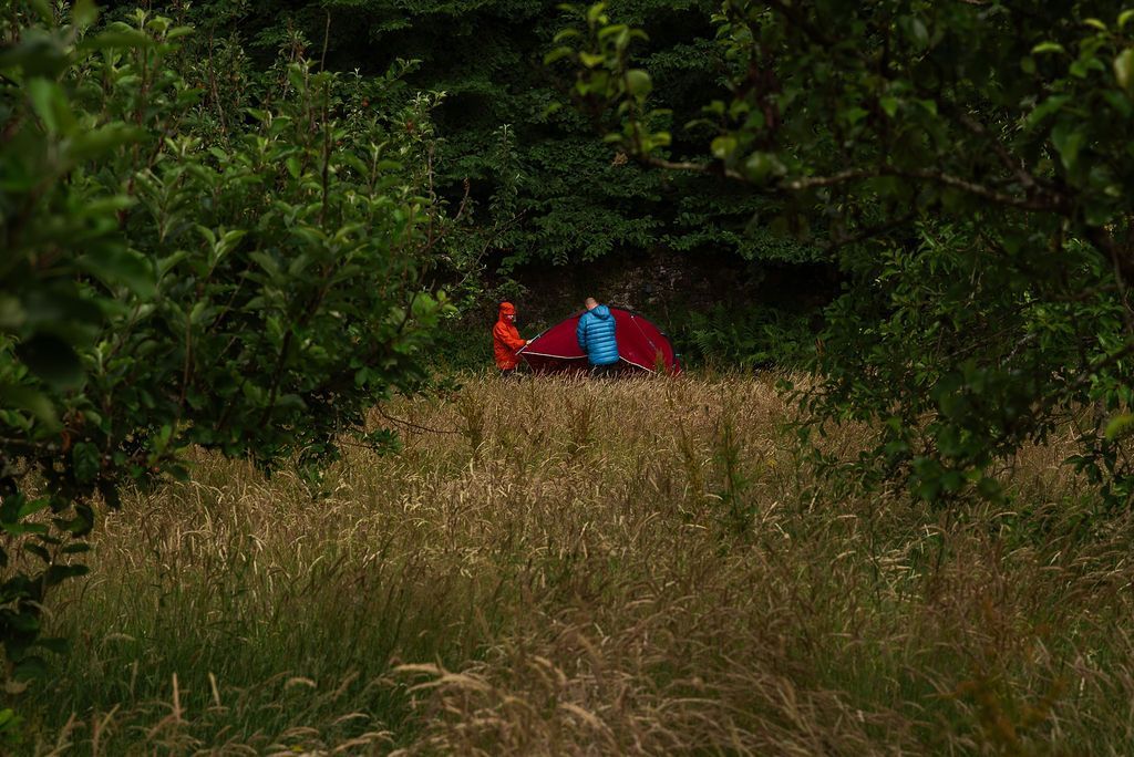 People putting up a tent in a walled garden.