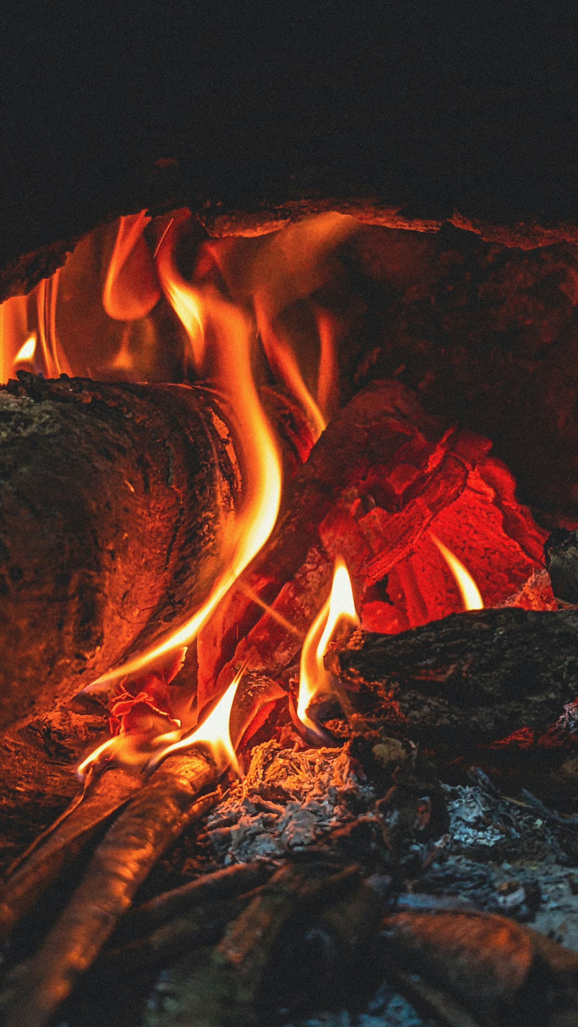 gentle firelight and glowing embers