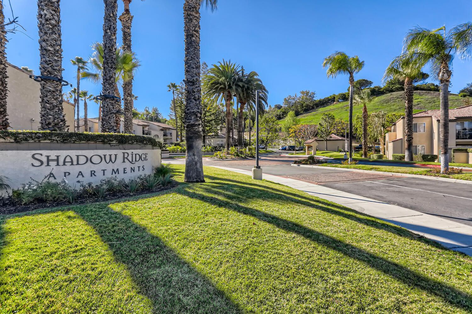 Exterior view of Shadow Ridge Apartments entrance with sign, palm trees, and landscaped lawn.