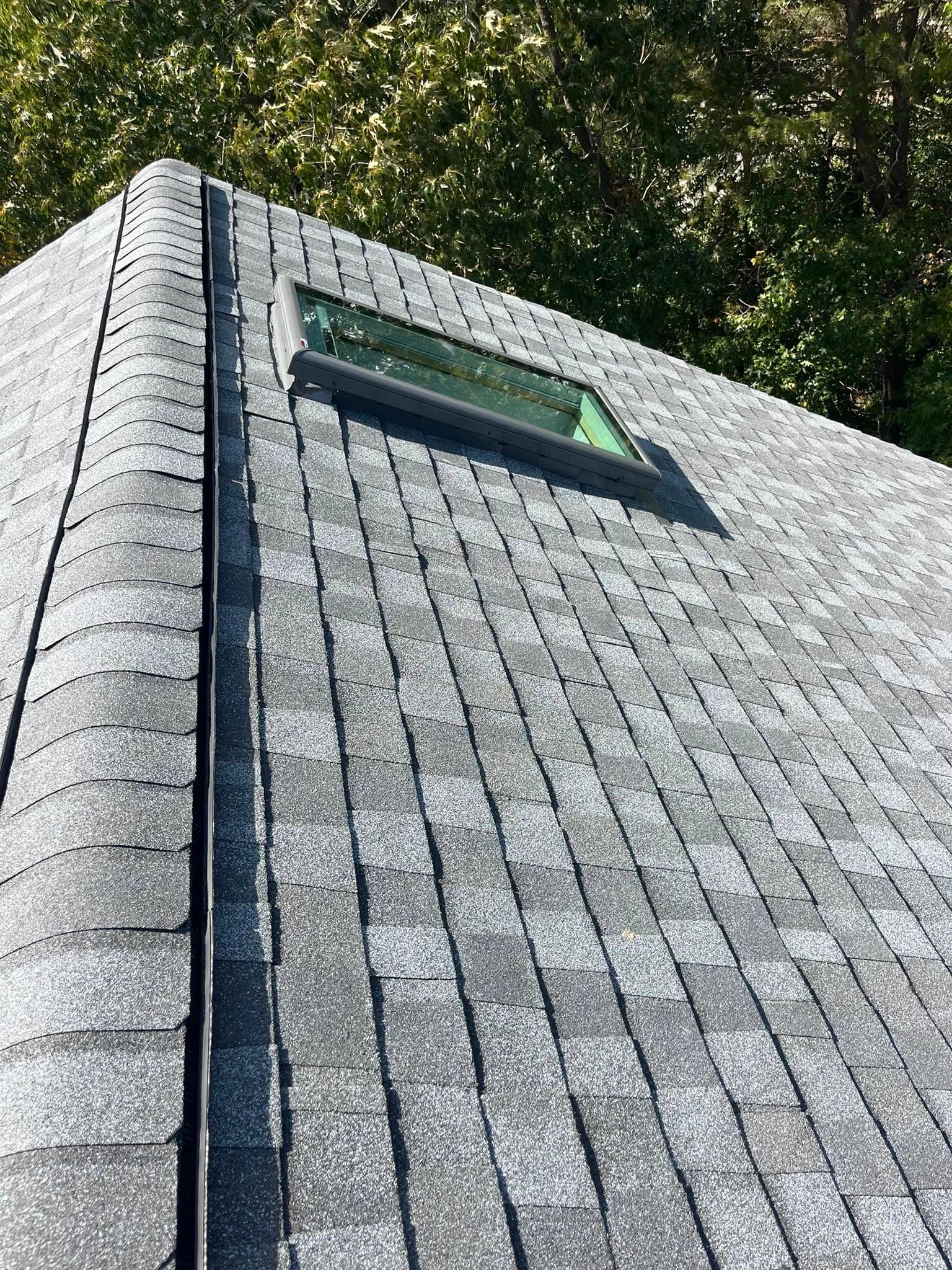 Gray shingled roof with a small skylight against leafy trees