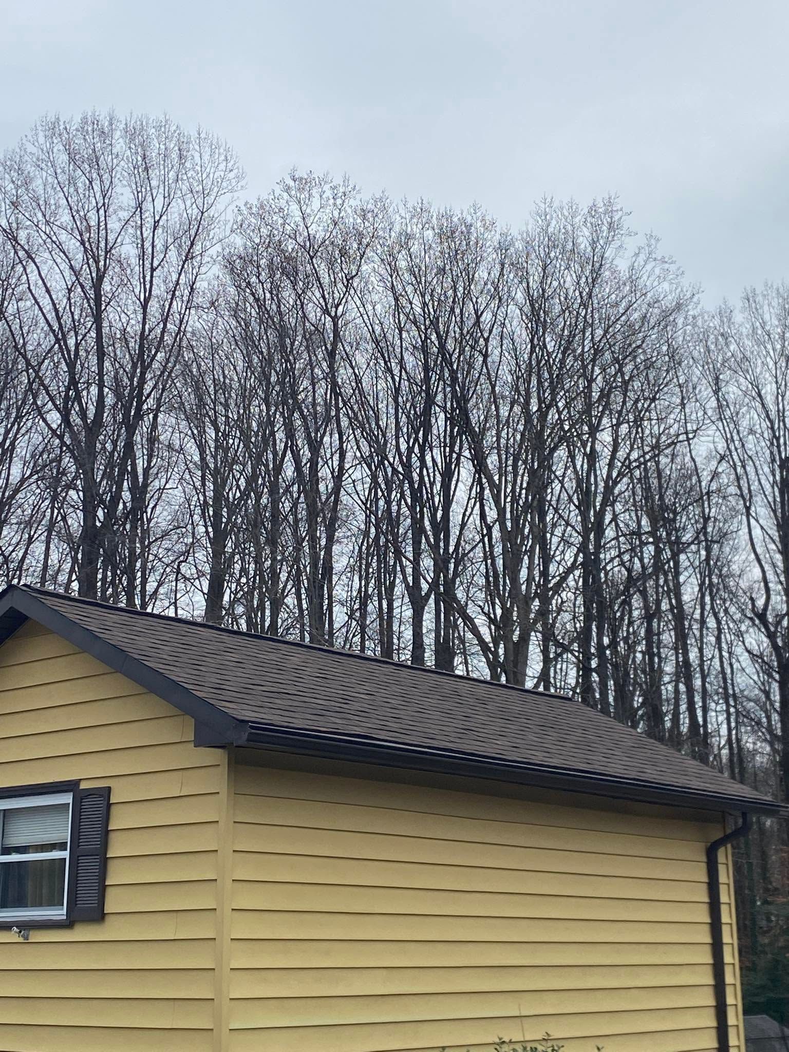 Yellow house with brown shingled roof beside leafless trees under a gray sky