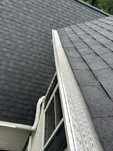 Roofline with black shingles and a white gutter beside a gray shingled section of a house.