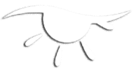Minimal line drawing of a bird in flight, shown in profile with wings outstretched.