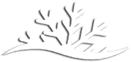 Simple black line drawing of a tree branch with scattered leaves on a white background
