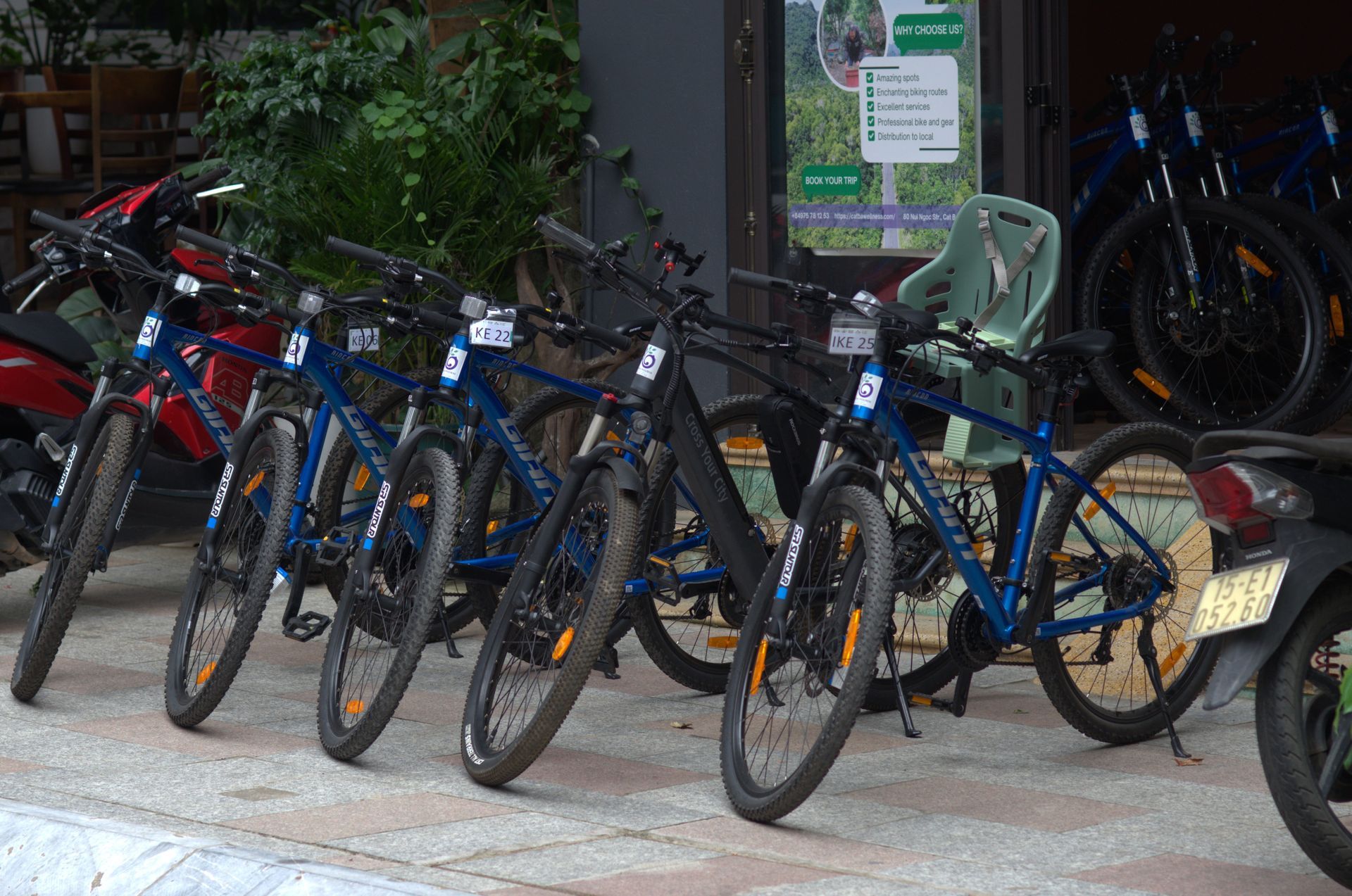Cyclists at the Cat Ba National Park gate