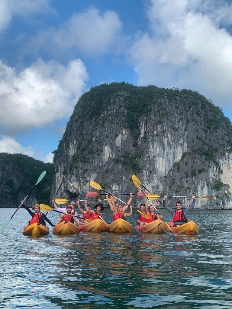 Where the Jungle Meets the Sea