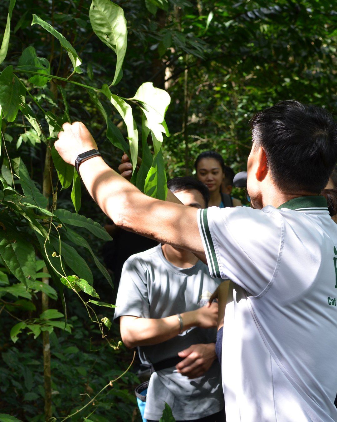 Tùng, Cat Ba National Park ecologist, guiding a group in the forest