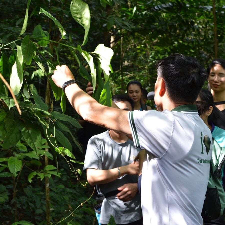 Tùng, Cat Ba National Park Ecologist