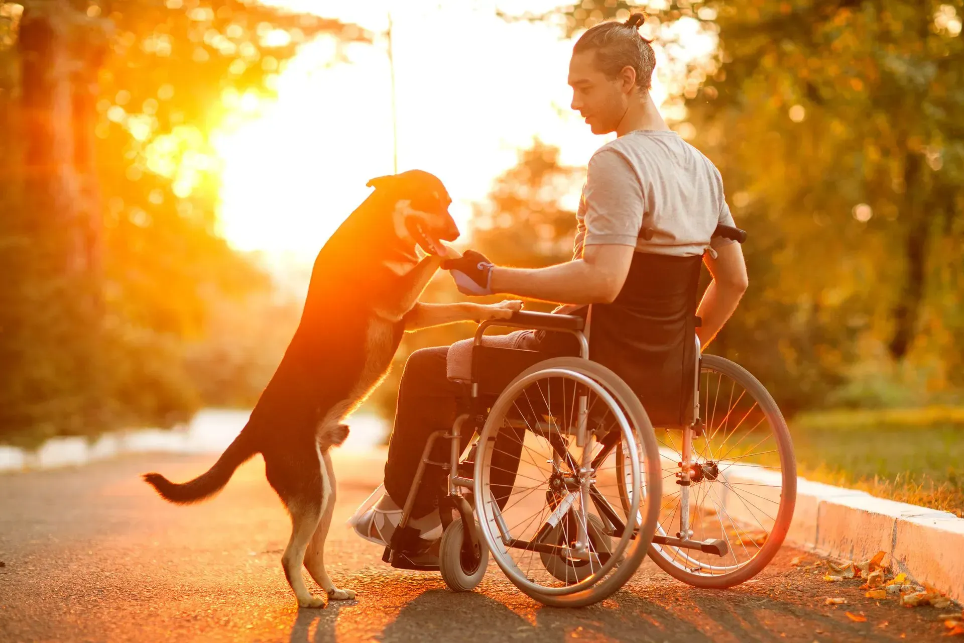Mobility AIDS In Newcastle Supporting Wheelchair Users