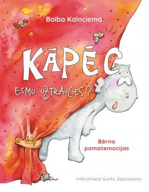 Baiba Kalnciema grāmata - Kāpēc esmu uztraucies?