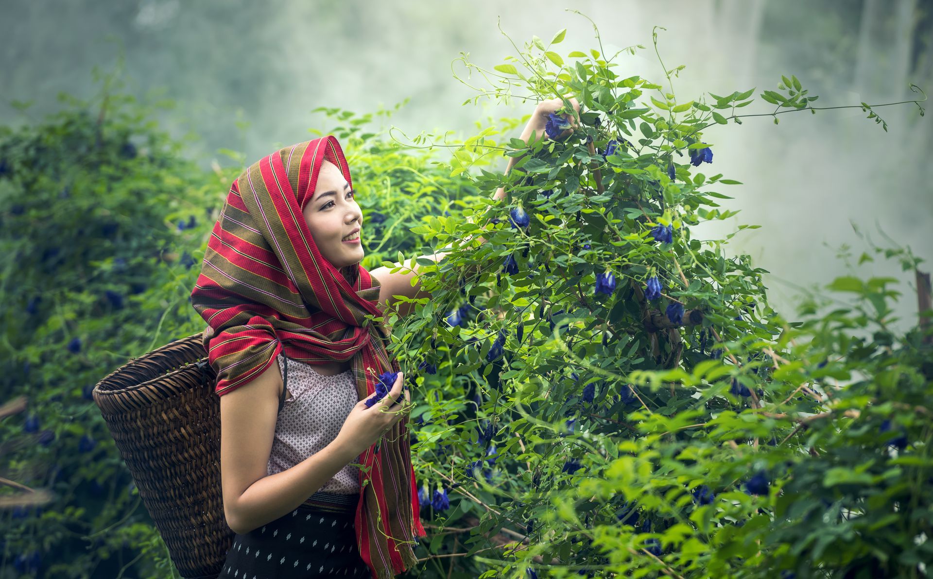 sustainable lifestyle