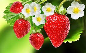 Strawberry Soap