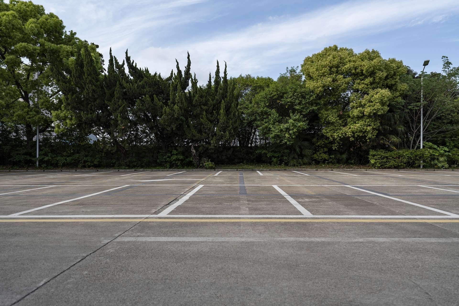 An empty parking lot with trees in the background on a sunny day