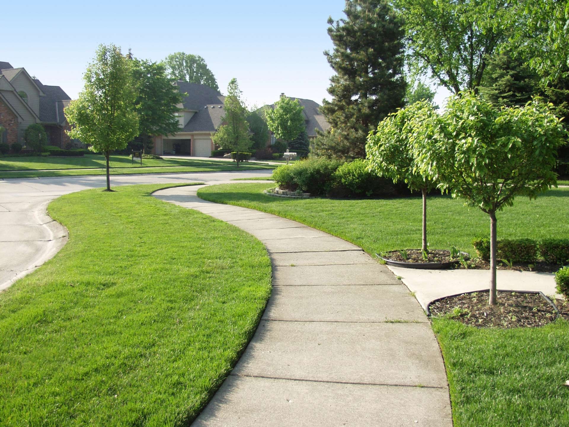 A concrete walkway winds through a lush green neighborhood
