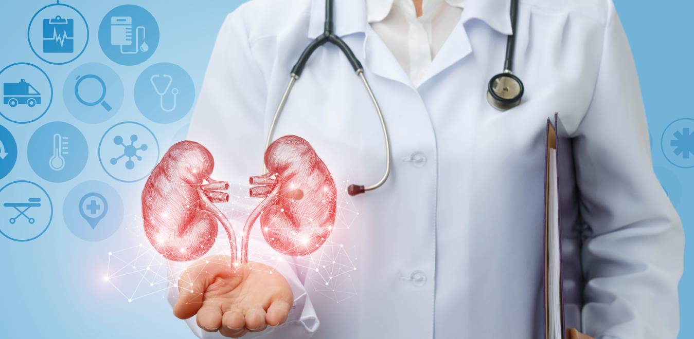 urologia