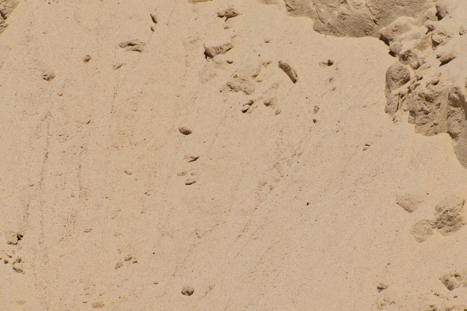 Masonry Sand
