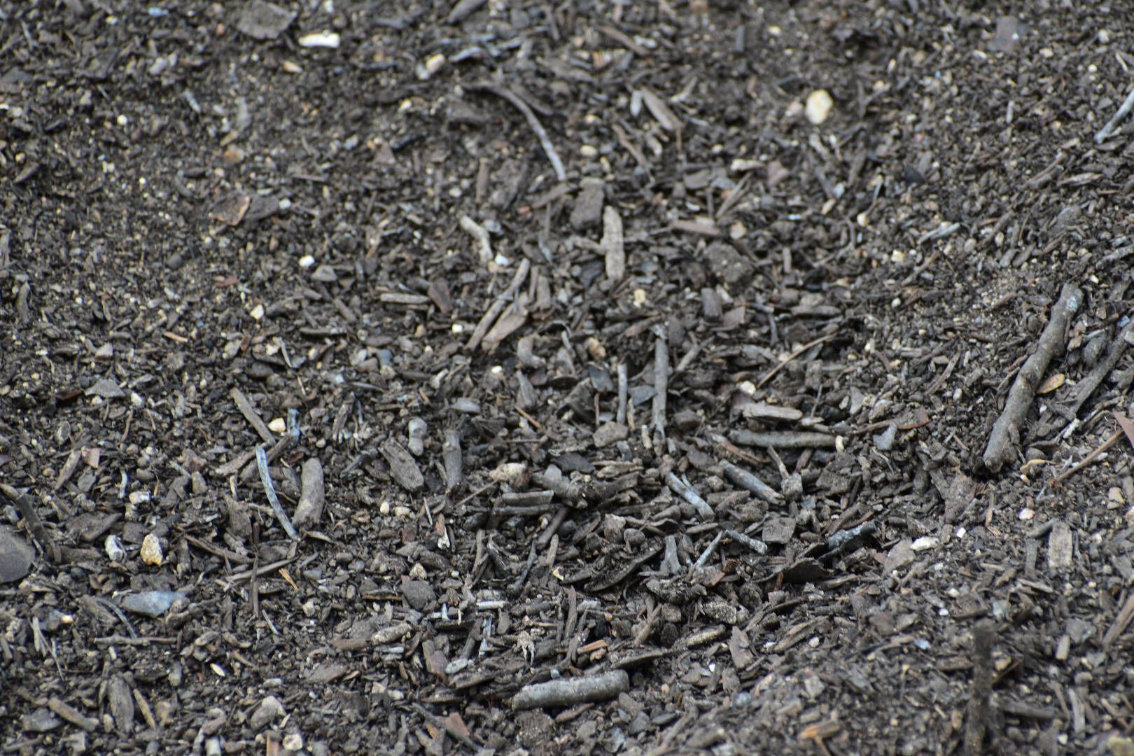 Mulch Fines Compost