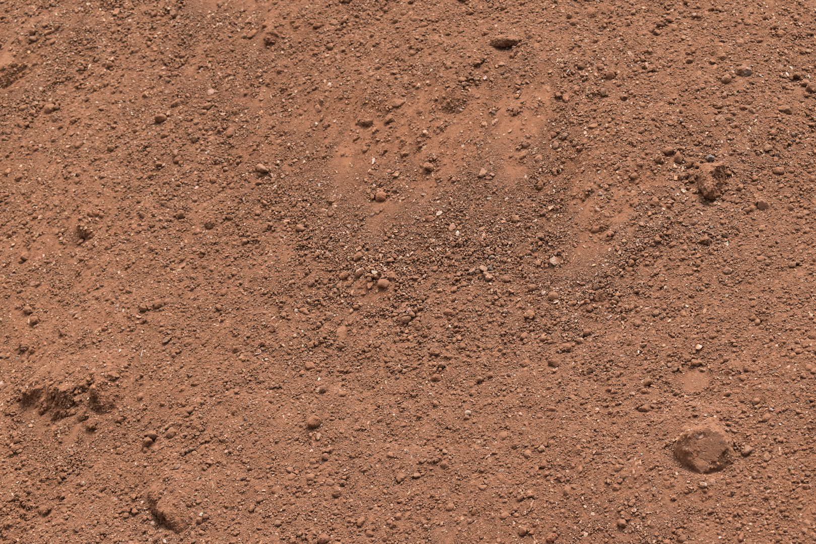 50/50 Topsoil
